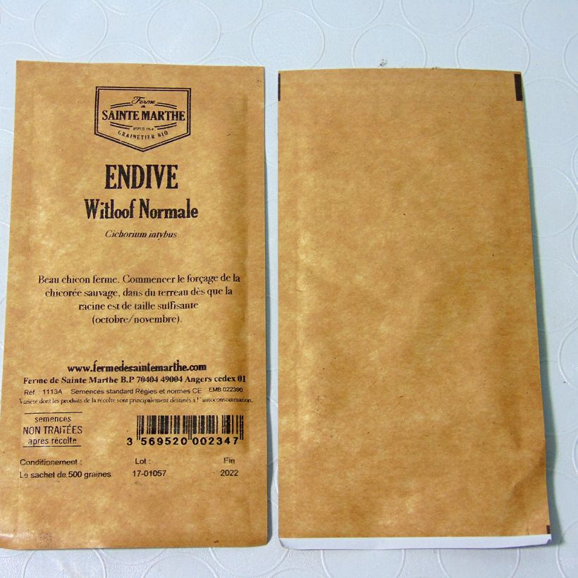 Example of Organic Chicory Witlof Alba - Ferme de Sainte Marthe seeds - Cichorium intybus per pack of 500 seeds (1g) specimen as delivered