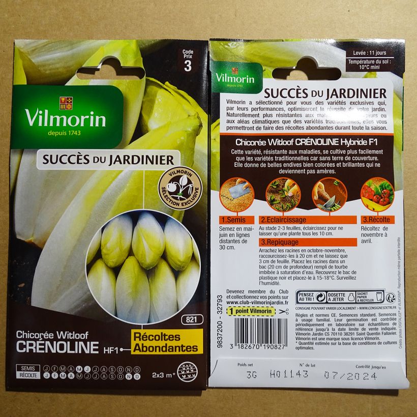 Example of Witloof Chicory Crénoline F1 - Vilmorin Seeds per pack of 1800 seeds (3g) specimen as delivered