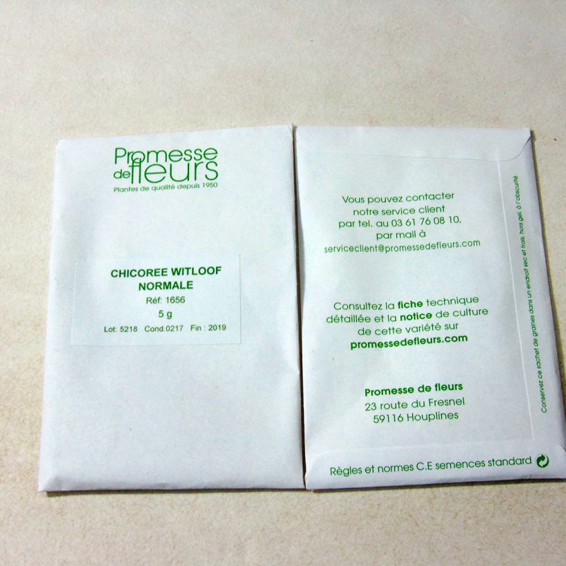 Example of Witloof Chicory Normale Maraîchère per pack of 3000 seeds (5g) specimen as delivered