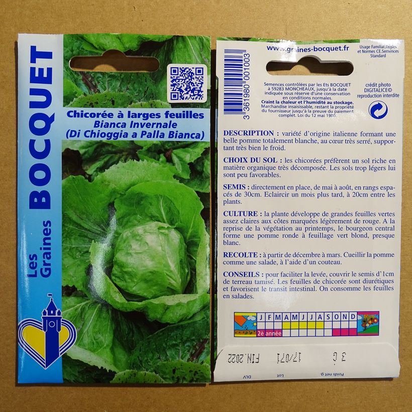 Example of Chicory Bianca invernale - Cichorium intybus per pack of 1800 seeds (3g) specimen as delivered