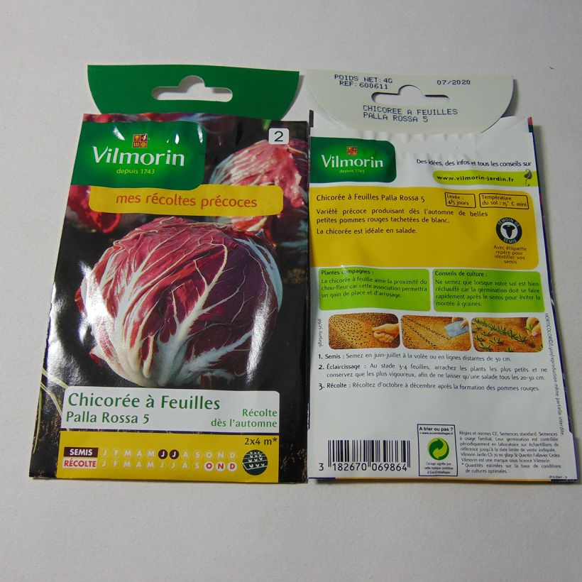 Example of Chicory Palla Rossa - Vilmorin Seeds per pack of 2400 seeds (4g) specimen as delivered