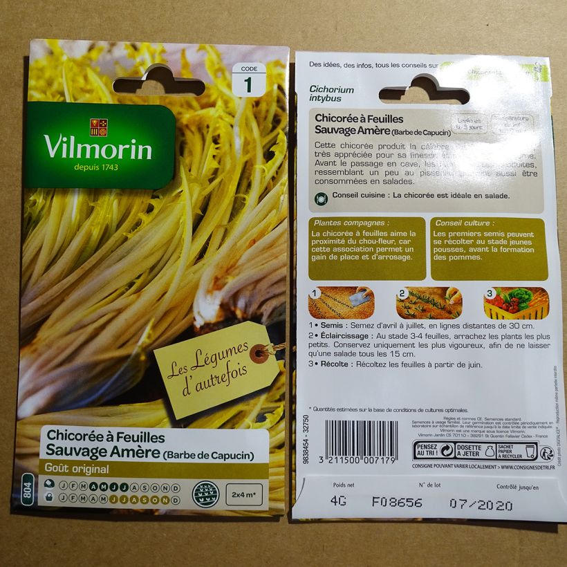 Example of Chicory Barbe de Capucin - Vilmorin Seeds per pack of 2400 seeds (4g) specimen as delivered