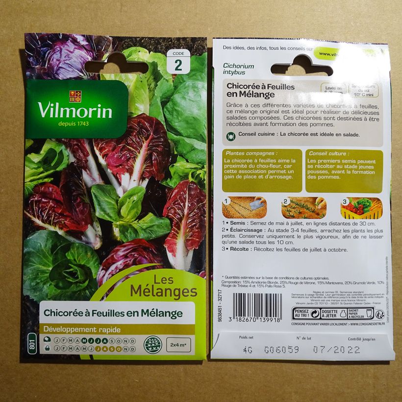 Example of Leaf Chicory Seed Mix - Vilmorin seeds per pack of 2400 seeds (4g) specimen as delivered