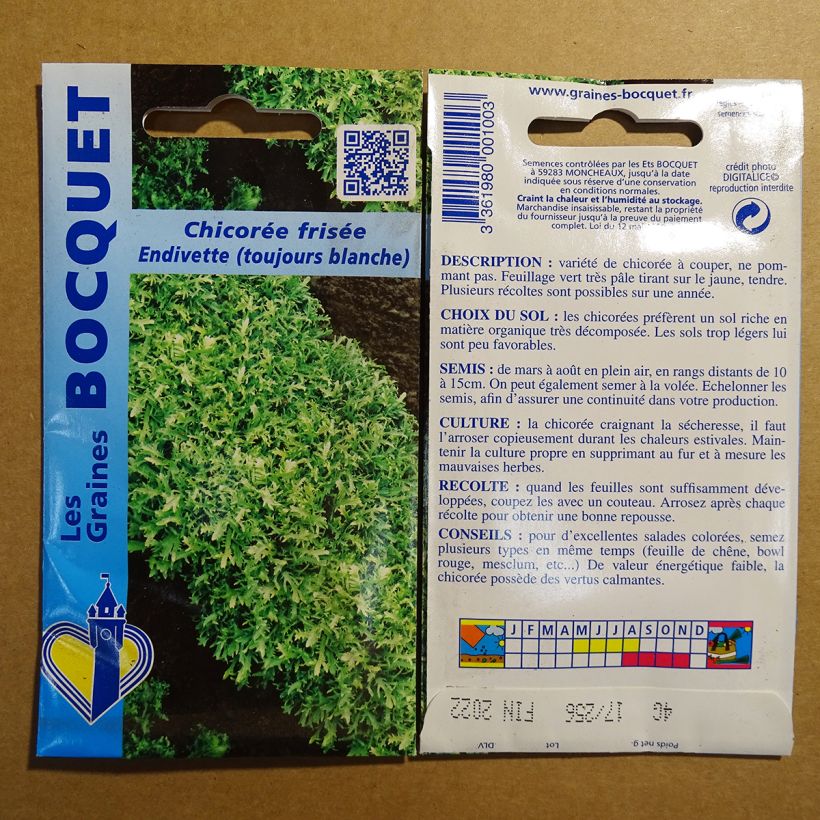 Example of Curly Endive Endivette (Toujours blanche) - Cichorium endivia var. crispum per pack of 2400 seeds (4g) specimen as delivered