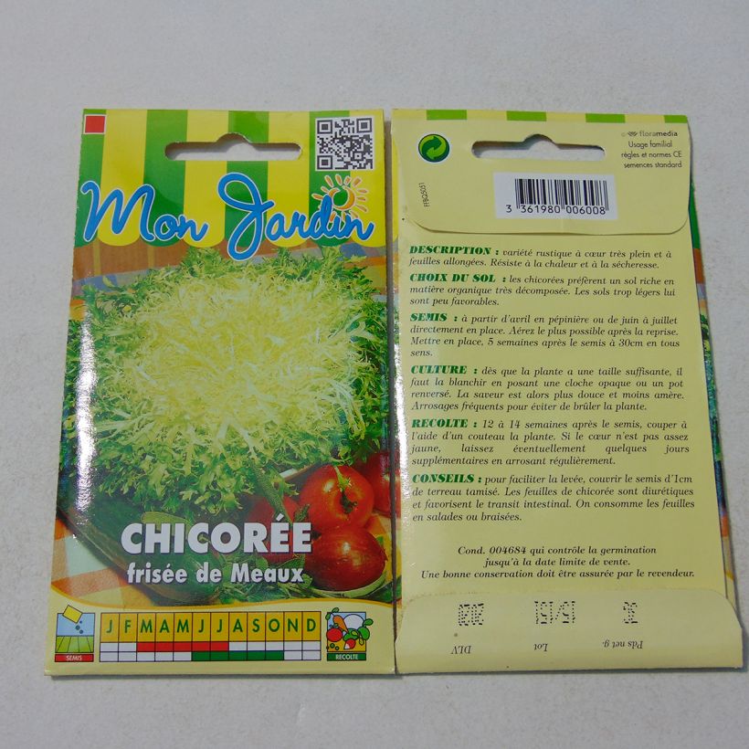 Example of Curly Endive Fine de Meaux - Cichorium endivia crispum per pack of 2500 seeds (4g) specimen as delivered