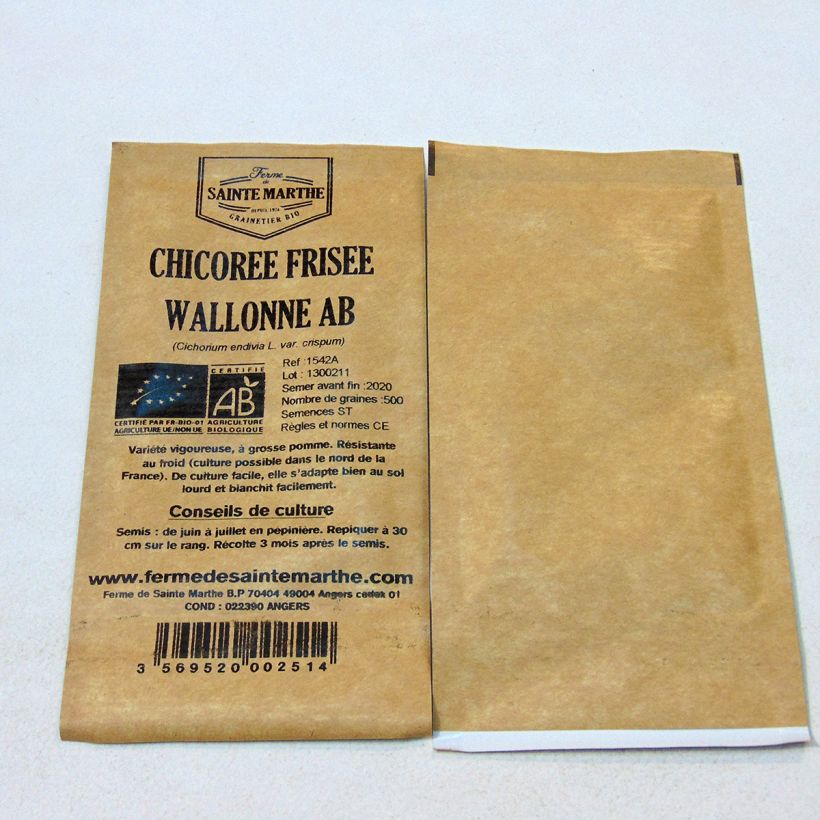 Example of Frisée endive Wallone (Chicory) - Ferme de Sainte Marthe Seeds per pack of 500 seeds specimen as delivered