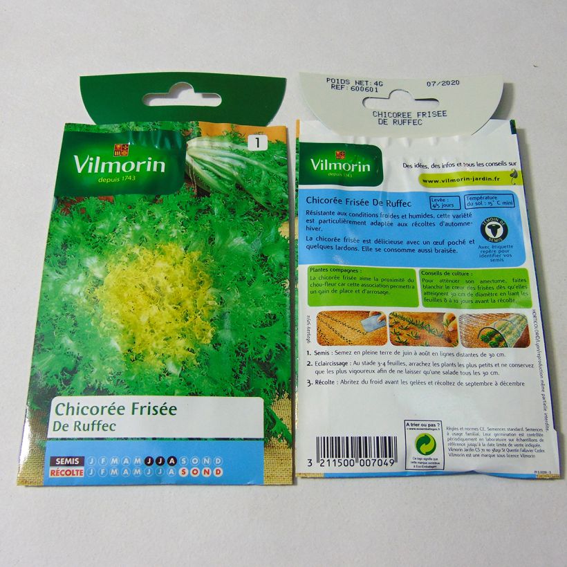 Example of Cichorium endivia var. crispum de Ruffec - Vilmorin per pack of 2400 seeds (4g) specimen as delivered
