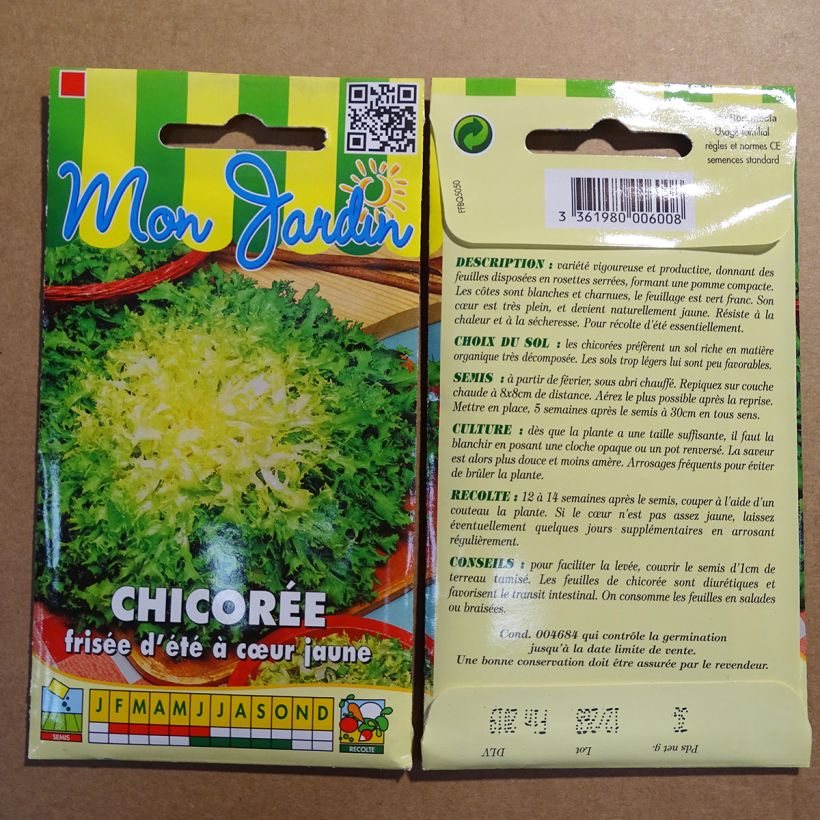Example of Curly Endive Frisée d'été à coeur jaune - Cichorium endivia var. crispum per pack of 1800 seeds (3g) specimen as delivered