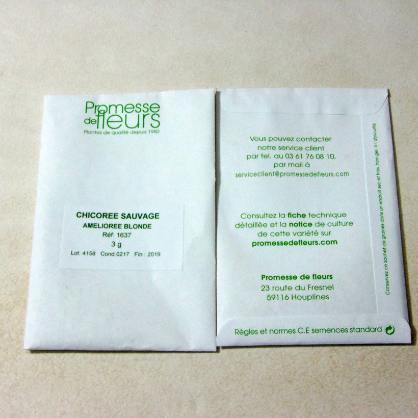 Example of Chicory Blonde Improved per pack of 1800 seeds (3g) specimen as delivered