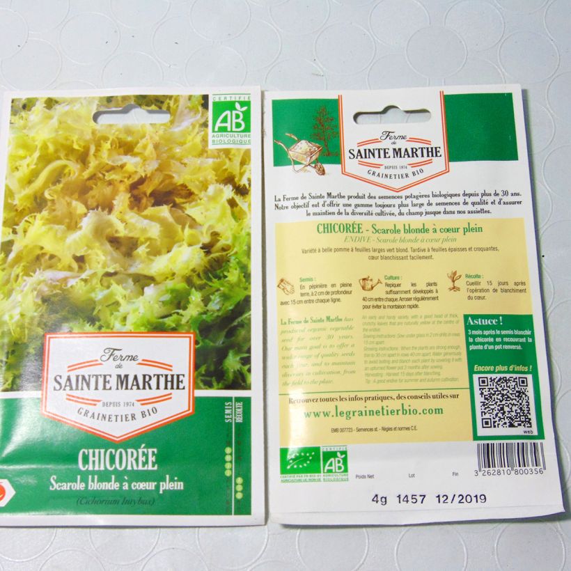 Example of Escarole Blond Full Heart - Ferme de Sainte Marthe Seeds per pack of 2500 seeds (4g) specimen as delivered