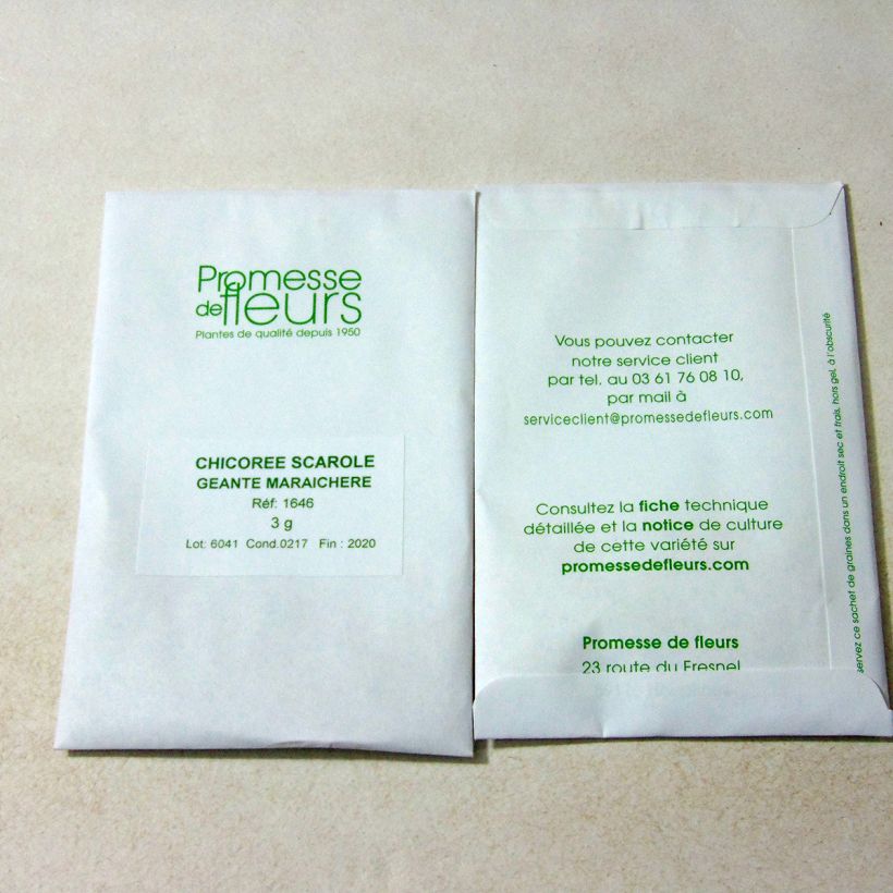 Example of Escarole Géante Maraîchère - Cichorium endivia var. latifolium per pack of 1800 seeds (3g) specimen as delivered