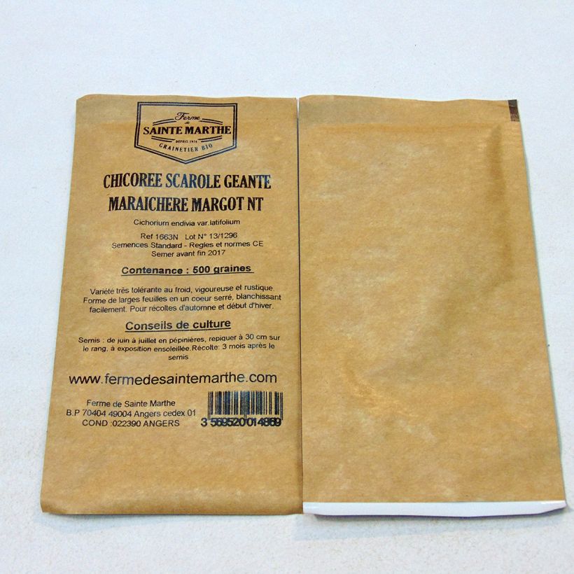 Example of Escarole Géante Maraîchère Margot (untreated) - Ferme de Sainte Marthe seeds - Cichorium endivia var. latifolium per pack of 500 seeds specimen as delivered