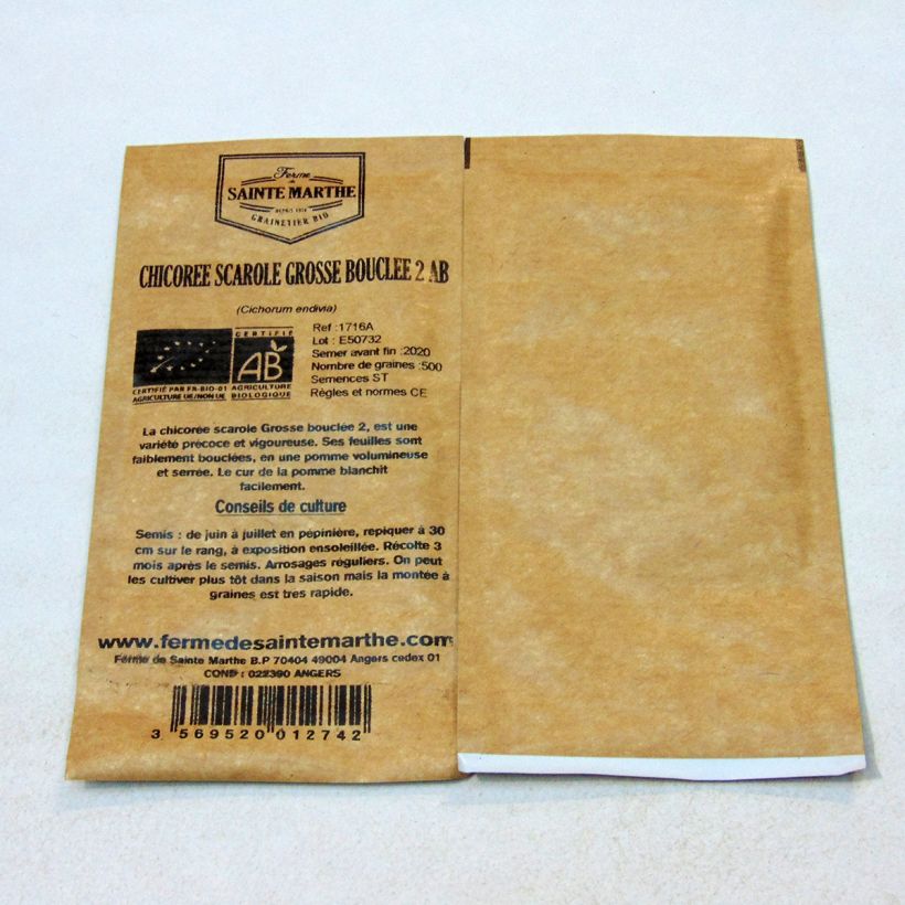 Example of Organic Escarole Grosse Bouclée 2 - Ferme de Sainte Marthe seeds - Cichorium endivia var. latifolium per pack of 500 seeds specimen as delivered