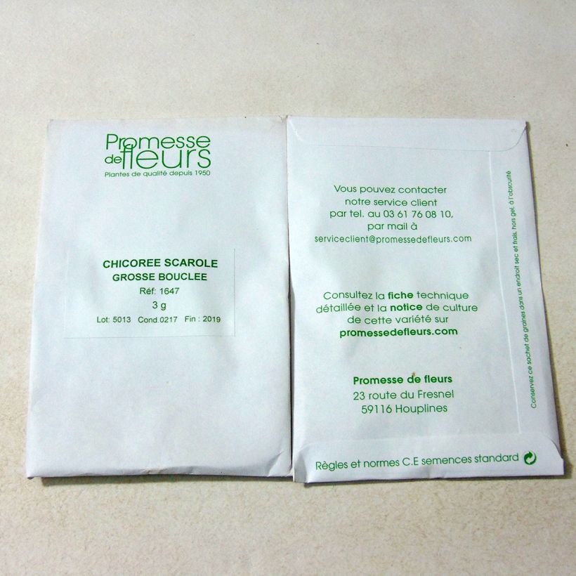 Example of Escarole Grosse Bouclée - Cichorium endivia var. latifolium per pack of 1800 seeds (3g) specimen as delivered