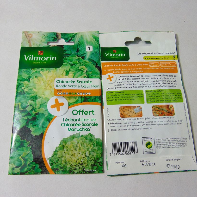 Example of Escarole Ronde Verte à Coeur Plein + Maruschka sample - Vilmorin Seeds per pack of 2400 seeds (4g) specimen as delivered