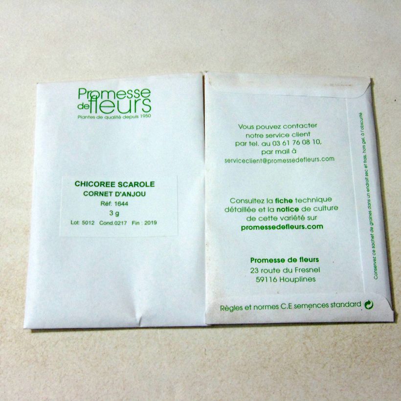 Example of Escarole Cornet d'Anjou - Cichorium endivia var. latifolium per pack of 1800 seeds (3g) specimen as delivered
