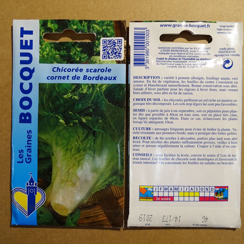 Example of Escarole Cornet de Bordeaux - Cichorium endivia var. latifolium per pack of 1800 seeds (3g) specimen as delivered