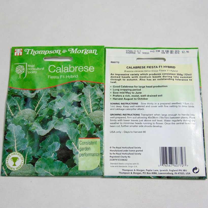 Example of Broccoli Fiesta F1 - Brassica oleracea italica per pack of 75 seeds specimen as delivered
