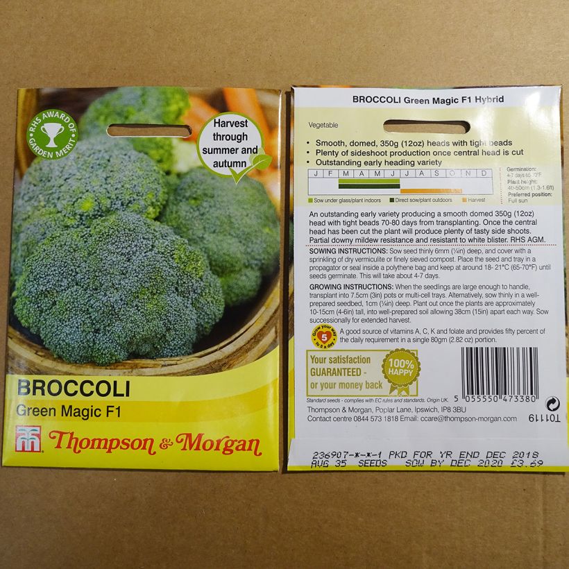 Example of Broccoli Green Magic F1 - Brassica oleracea italica per pack of 35 seeds specimen as delivered