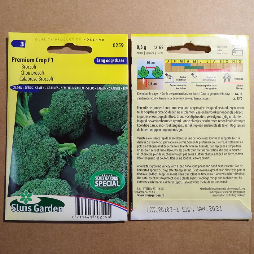 Example of Broccoli Premium Crop F1 - Brassica oleracea italica per pack of 65 seeds specimen as delivered