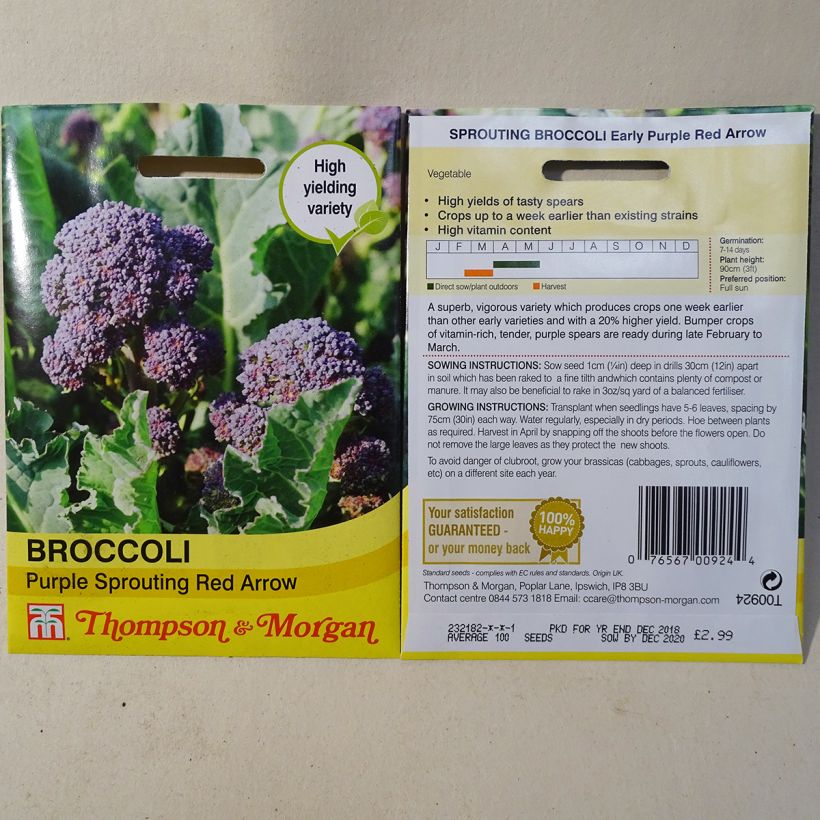 Example of Broccoli Red Arrow - Brassica oleracea italica per pack of 100 seeds specimen as delivered