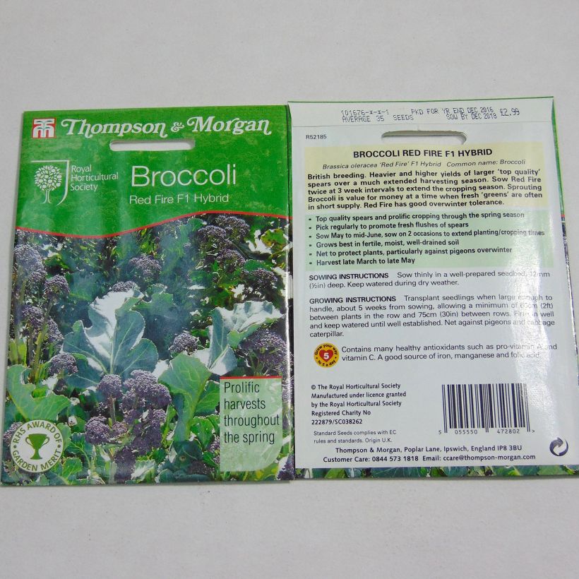 Example of Broccoli Red Fire F1 - Brassica oleracea italica specimen as delivered