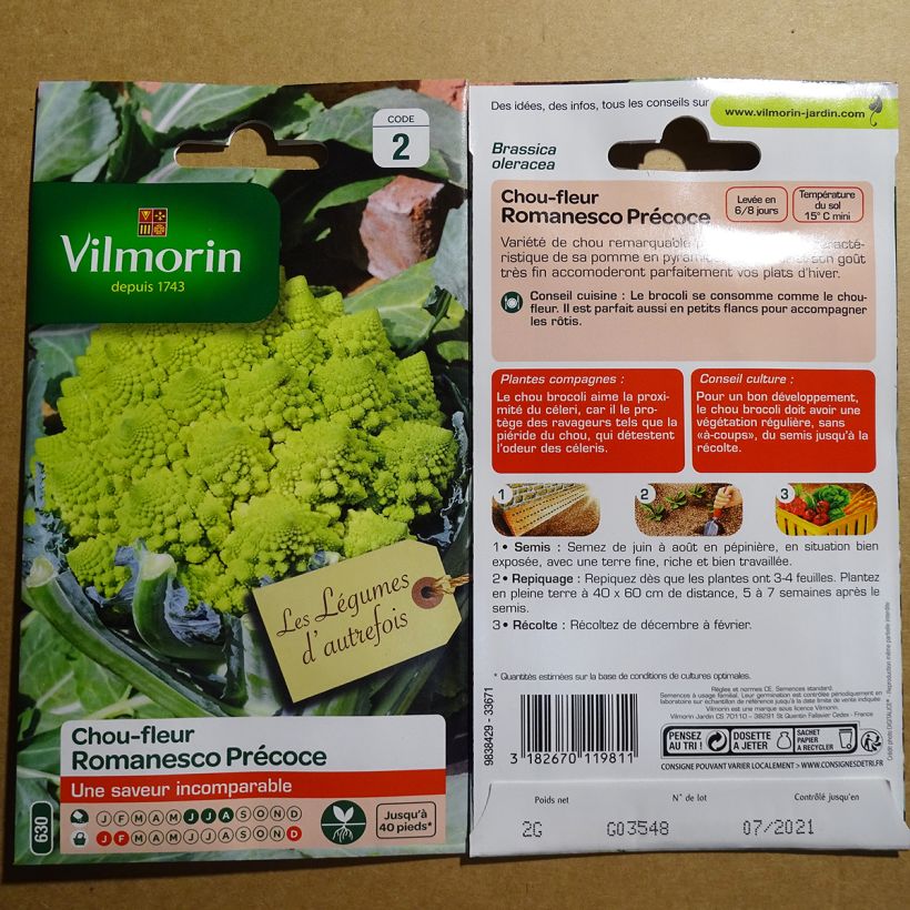 Example of Romanesco Broccoli Early - Vilmorin Seeds per pack of 800 seeds (2g) specimen as delivered