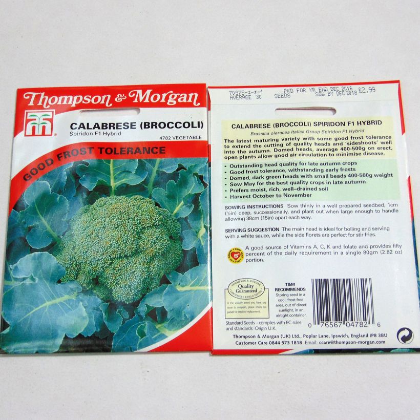 Example of Broccoli Spiridon F1 - Brassica oleracea italica specimen as delivered