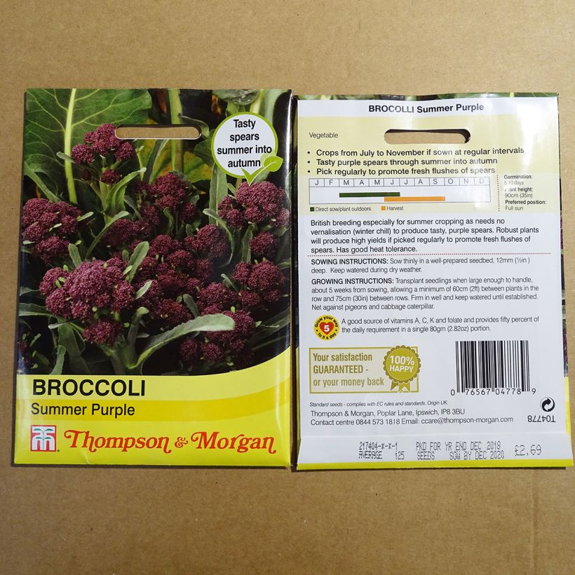 Example of Broccoli Summer Purple - Brassica oleracea italica specimen as delivered