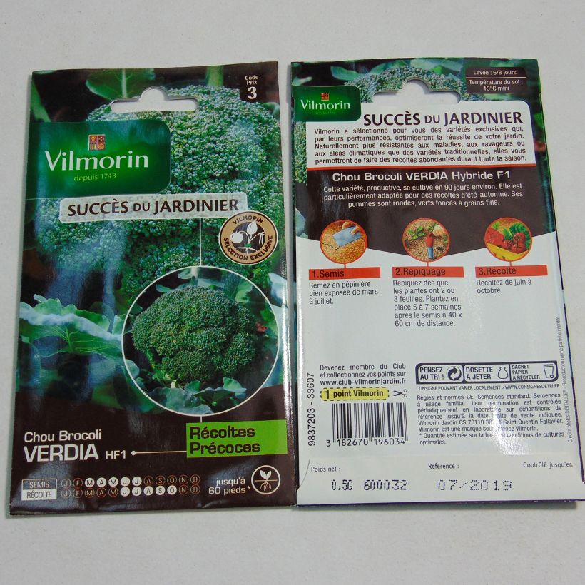 Example of Broccoli Verdia F1 - Vilmorin Seeds specimen as delivered