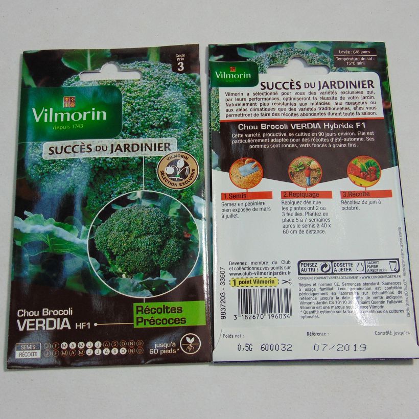 Example of Broccoli Verdia F1 - Vilmorin Seeds per pack of 200 seeds (0.5g) specimen as delivered