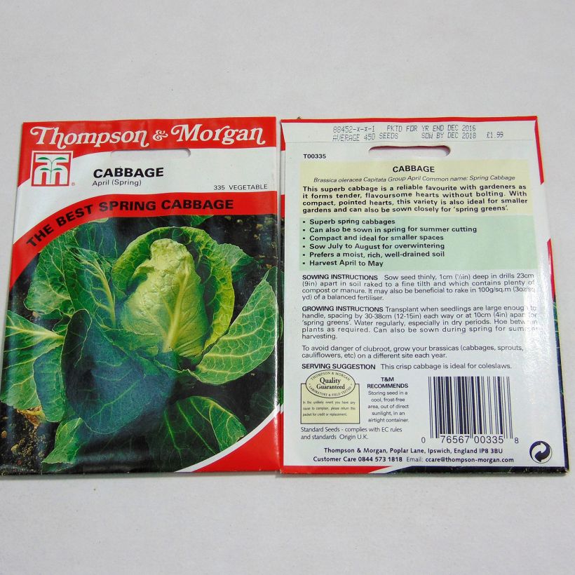 Example of Cabbage April - Brassica oleracea capitata per pack of 450 seeds specimen as delivered