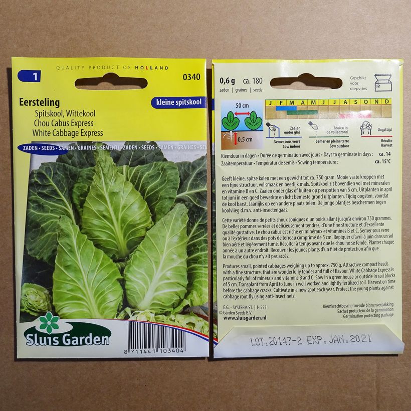 Example of Cabbage Express Eersteling specimen as delivered