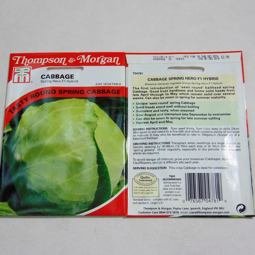 Example of Cabbage Spring Hero F1 - Brassica oleracea capitata specimen as delivered