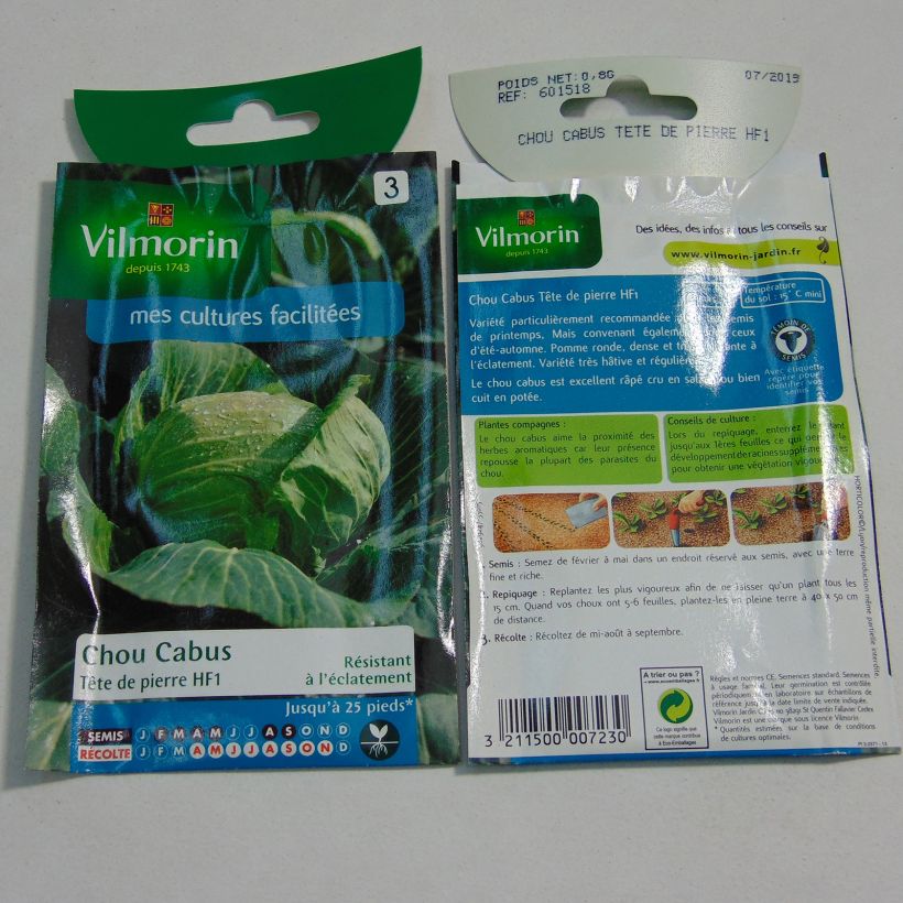 Example of Cabbage Stonehead F1 - Vilmorin seeds specimen as delivered
