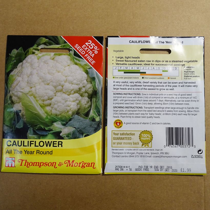 Example of Cauliflower All The Year Round per pack of 325 seeds specimen as delivered