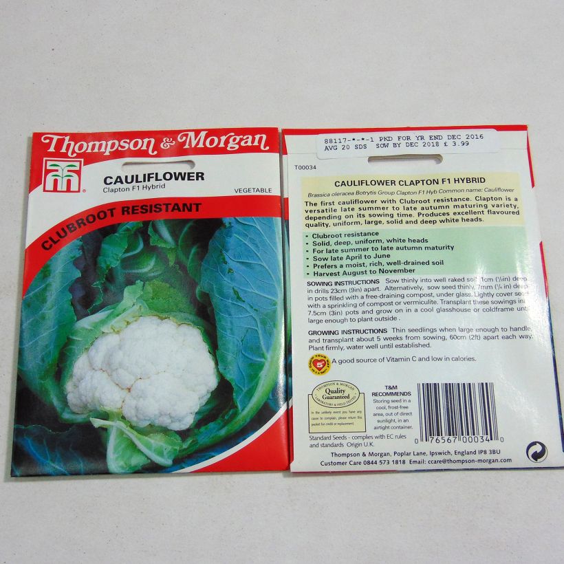 Example of Cauliflower Clapton F1 per pack of 20 seeds specimen as delivered