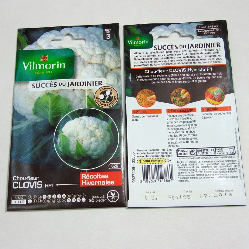 Example of Cauliflower Clovis F1 - Vilmorin Seeds per pack of 320 seeds (0.8g) specimen as delivered