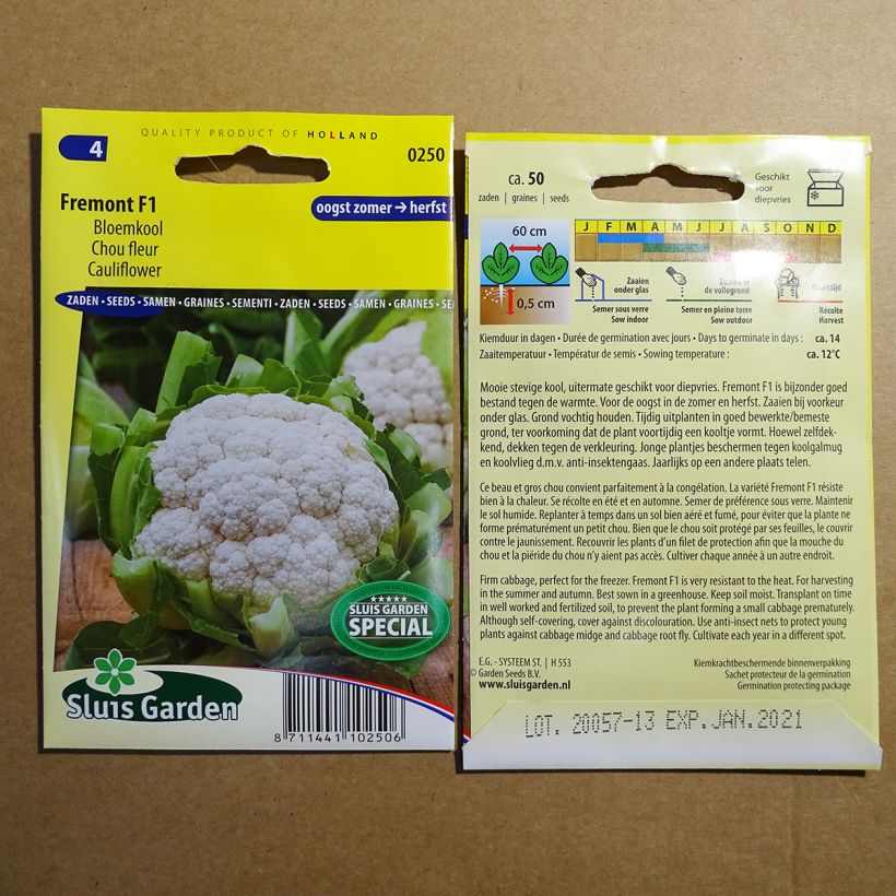 Example of Cauliflower Fremont F1 per pack of 50 seeds specimen as delivered