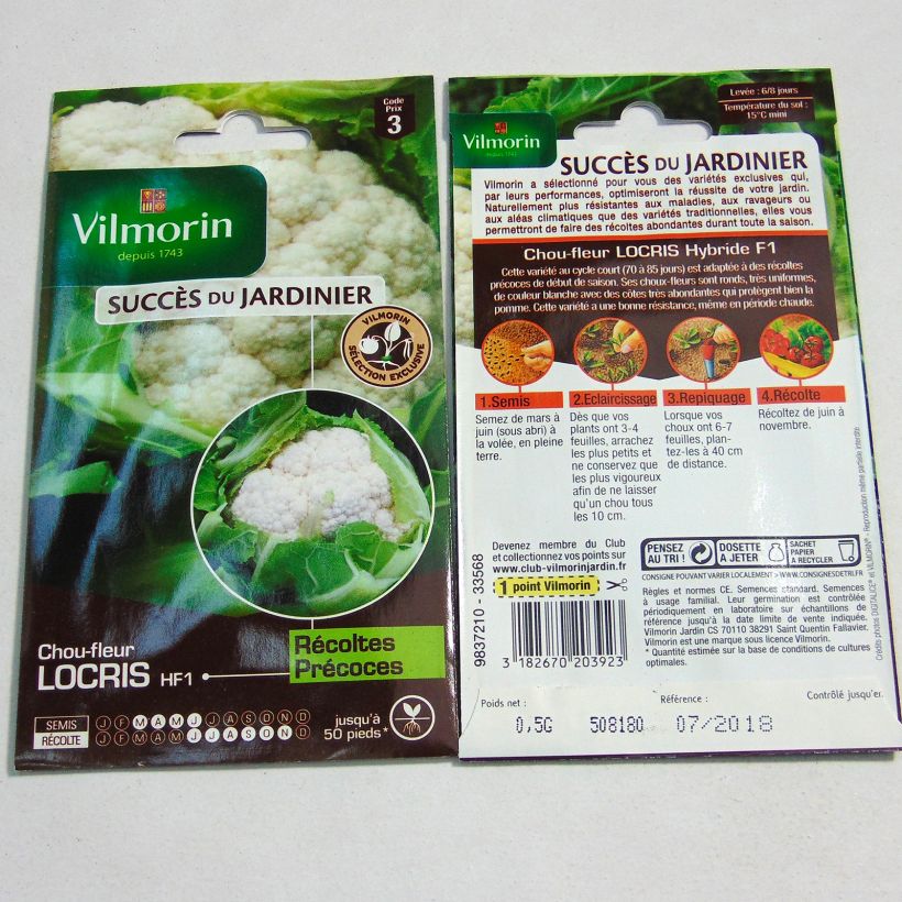 Example of Cauliflower Locris F1 - Vilmorin Seeds per pack of 200 seeds (0.5g) specimen as delivered