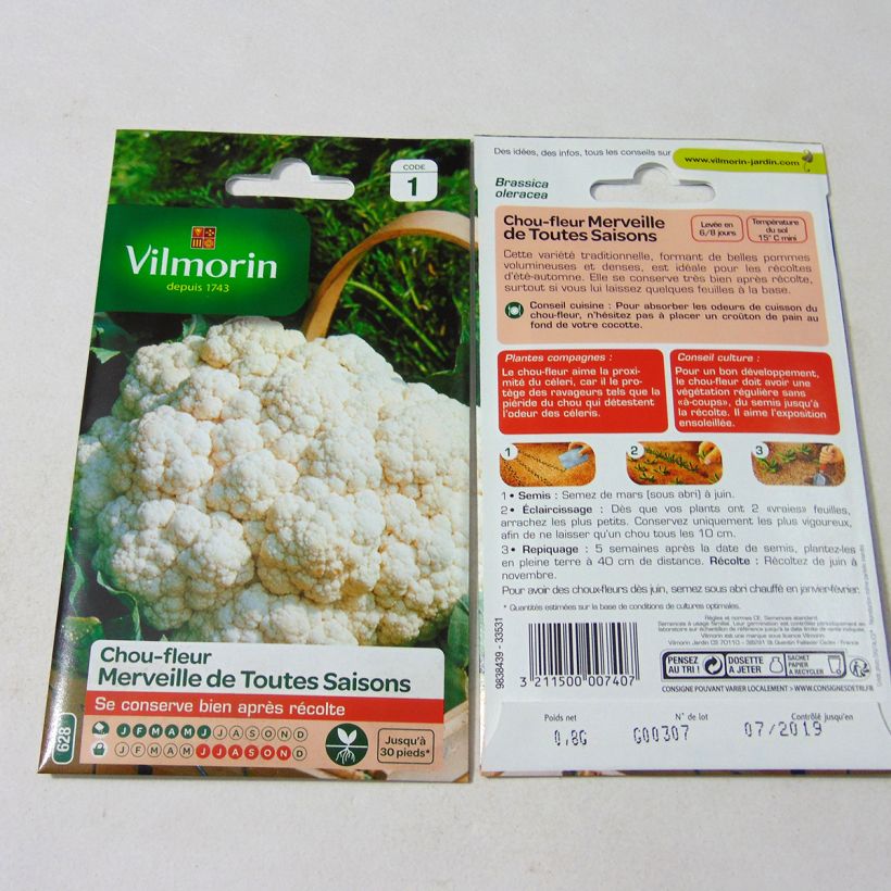 Example of Cauliflower Marvel of All Seasons - Vilmorin seeds per pack of 320 seeds (0.8g) specimen as delivered