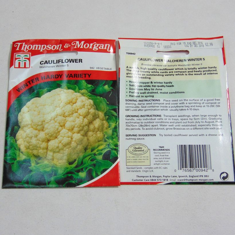 Example of Cauliflower Walcheren Winter 5 per pack of 50 seeds specimen as delivered
