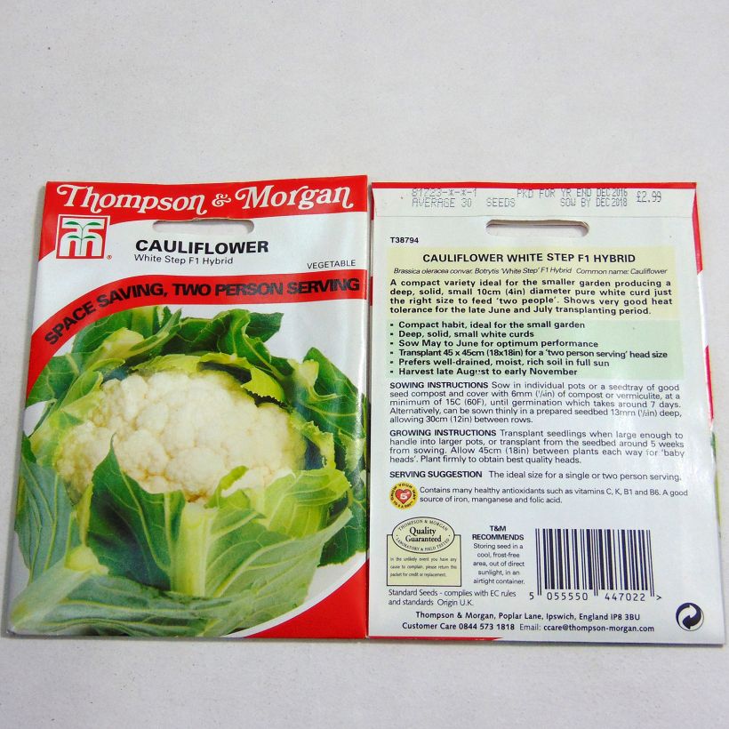 Example of Cauliflower White Step F1 per pack of 30 seeds specimen as delivered