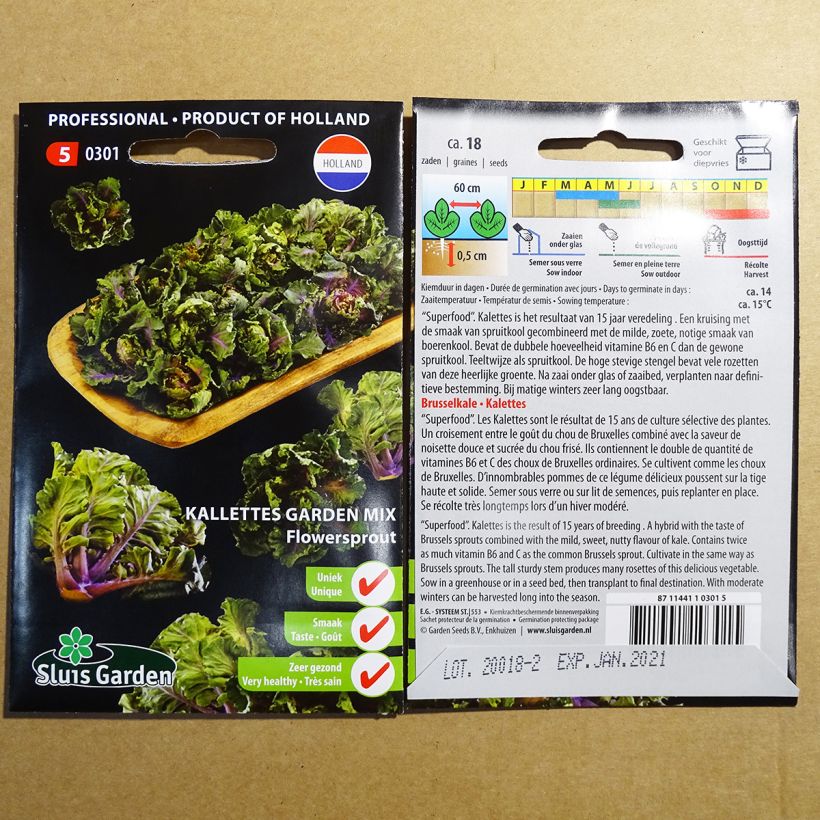 Example of Brassica oleracea gemmifera seeds - Kalettes Garden Mix per pack of 18 seeds specimen as delivered