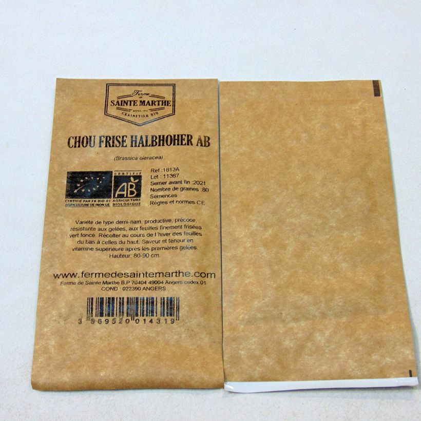 Example of Curly Kale Halbhoher Grüner Krauser - Ferme de Sainte Marthe Seeds per pack of 200 seeds specimen as delivered