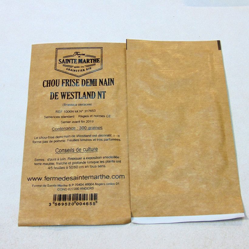 Example of Westland Half-Dwarf Curly untreated Kale - Ferme de Sainte Marthe seeds - Brassica oleracea acephala per pack of 300 seeds (1g) specimen as delivered