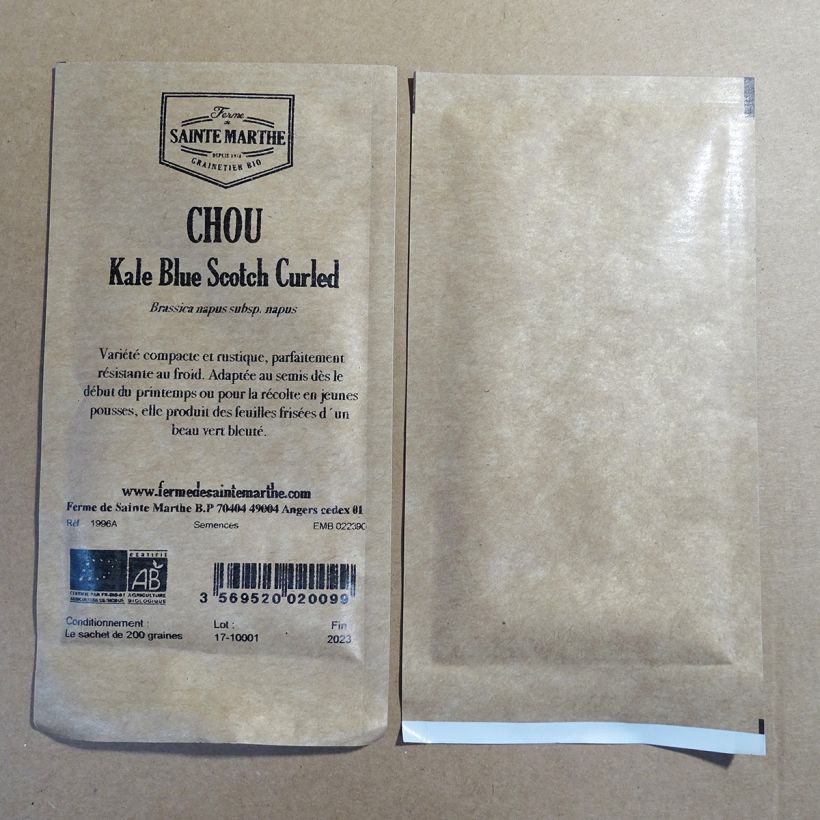 Example of Curly Kale Dwarf Blue Scotch Curled - Ferme de Sainte Marthe Seeds specimen as delivered