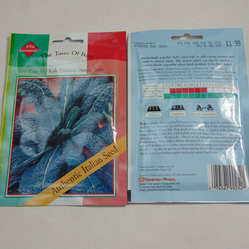 Example of Kale Cavolo Palmizio - Brassica oleracea acephala per pack of 2500 seeds specimen as delivered