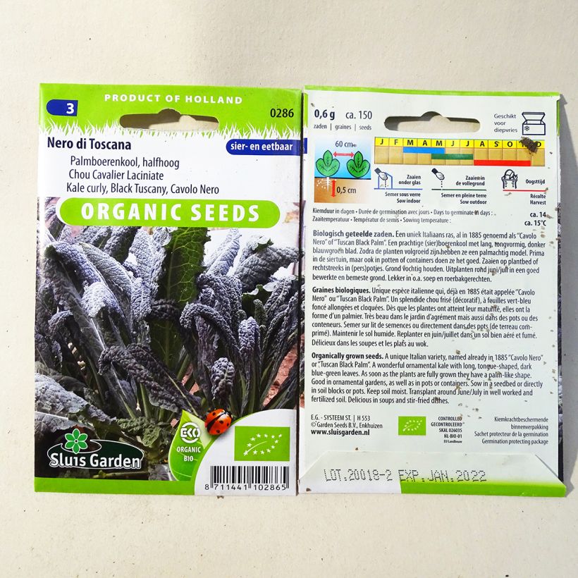 Example of Tuscan Kale Nero di Toscana Organic  - Lacinato kale per pack of 150 seeds (0,7g) specimen as delivered