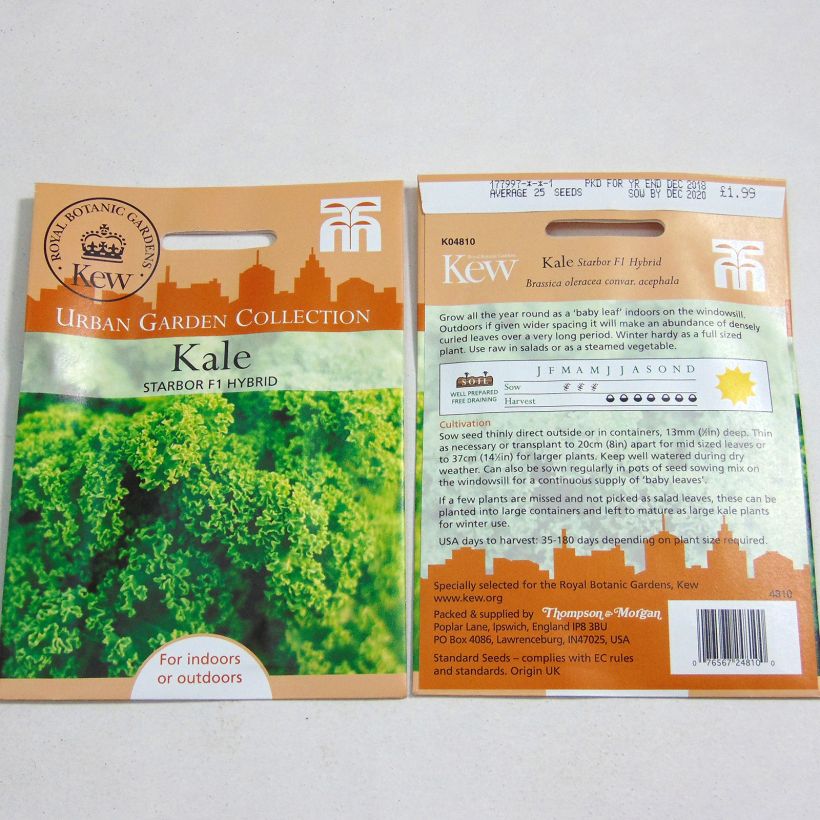 Example of Starbor F1 Kale - Brassica oleracea acephala per pack of 25 seeds specimen as delivered